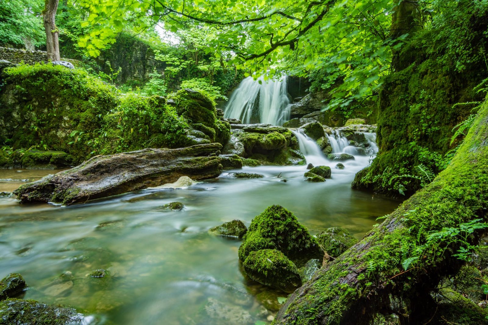 waterfalls in forest